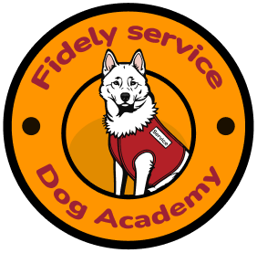 Logo Fidel y Service